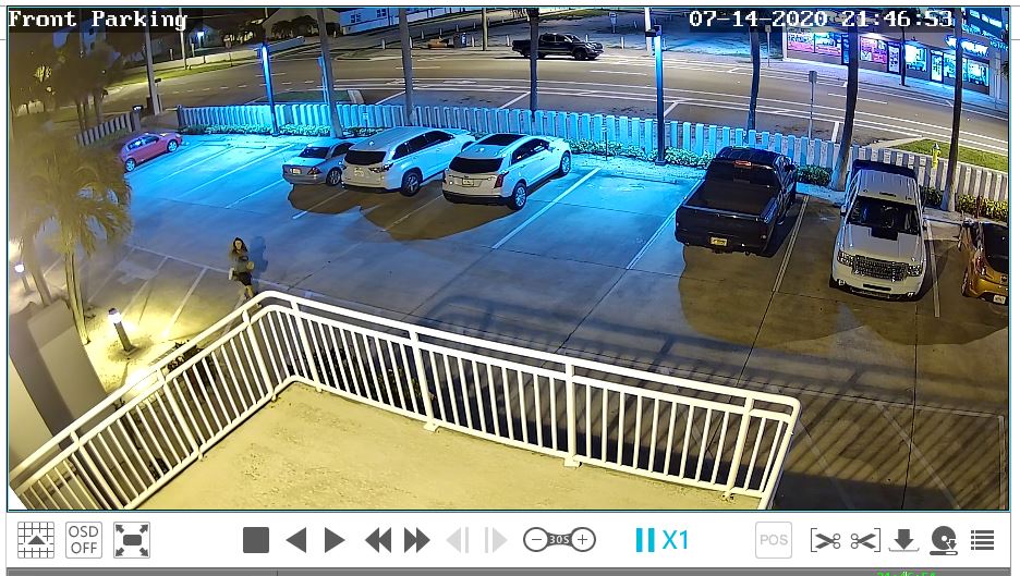 Innovative Surveillance project example 3